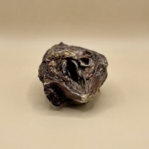 Larynx de boeuf