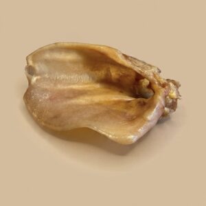 Oreille de porc