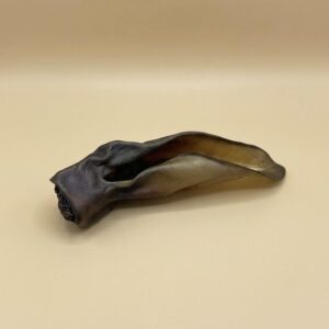 Oreille de boeuf