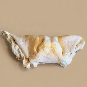 Museau de bœuf soufflé Géant